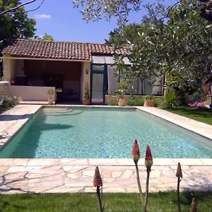 Sous Le Figuier... Appartement